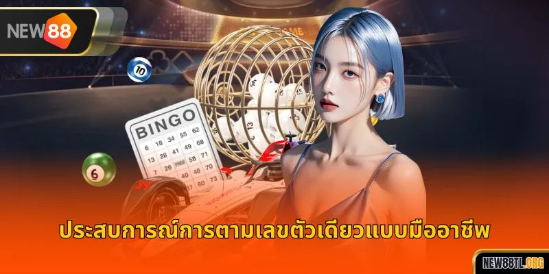 ประสบการณ์การตามเลขตัวเดียวแบบมืออาชีพ